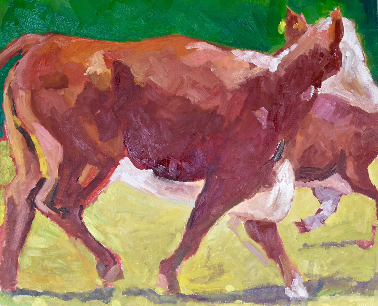 Where the Red Cows Go Print