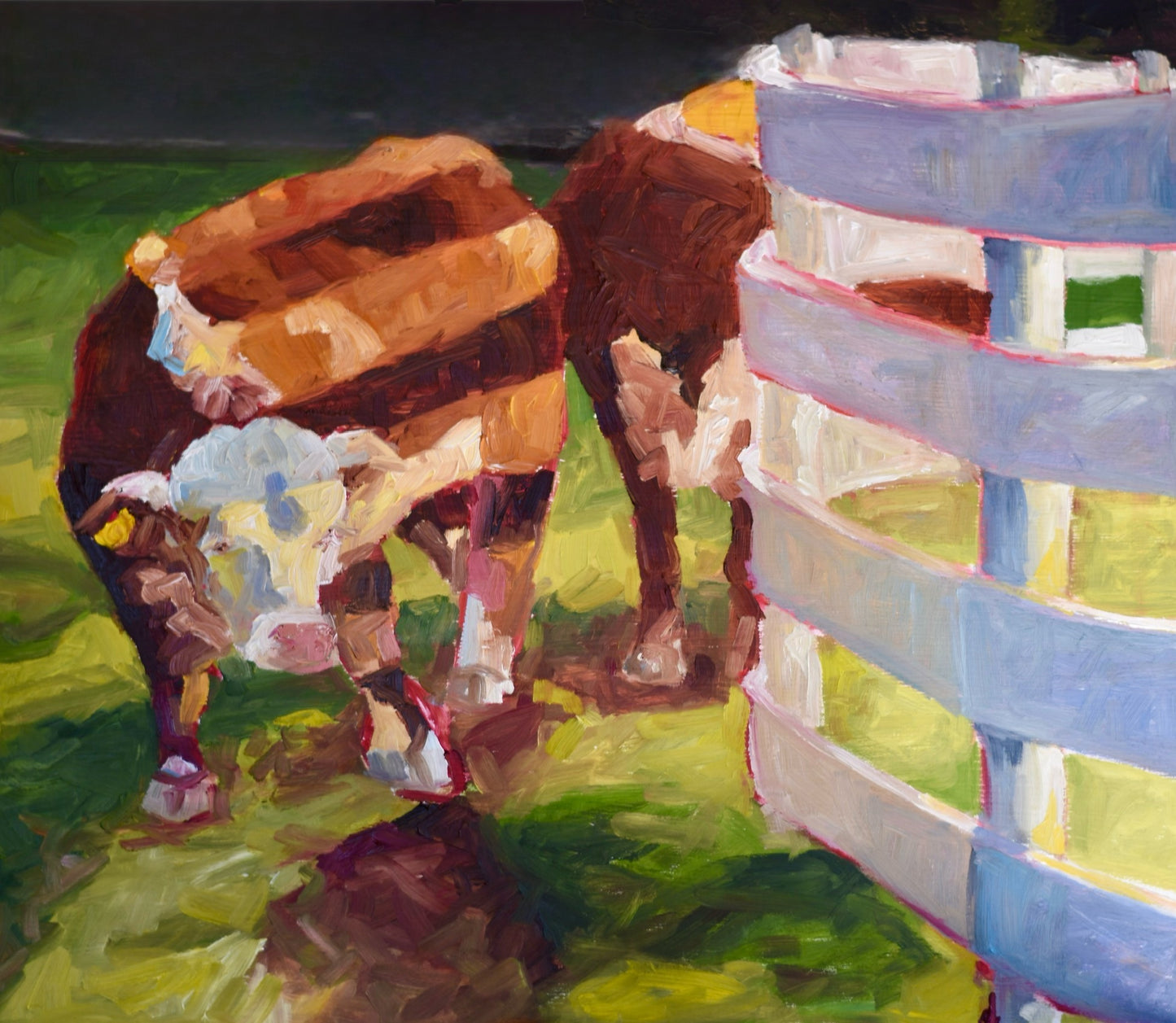 Cows peaking under the horse’s fence.