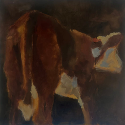 Hereford Calf Print