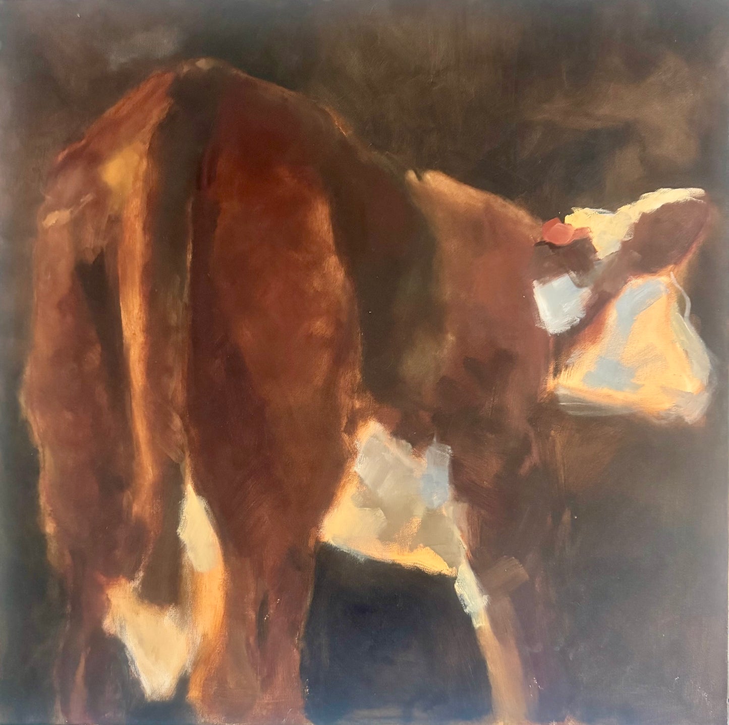 SOLD - Hereford Calf